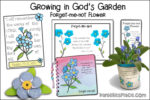 Growing in God's Garden - Forget-me-not - NIV