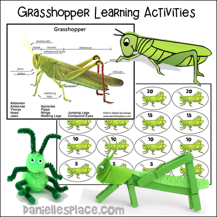 Grasshopper Crafts and Learning Activities