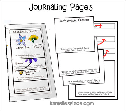 Discover God's Creation Journal Pages - NIV