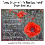 In Flanders Fields Printable – Raising Jordans