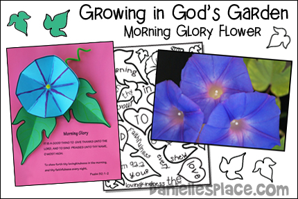 Growing in God's Garden - Morning Glory Flower - KJV