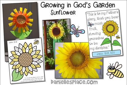 Growing in God's Love Bible Lesson using Sunflower Theme