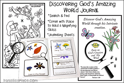 Discover God's Creation Journal Craft - NIV